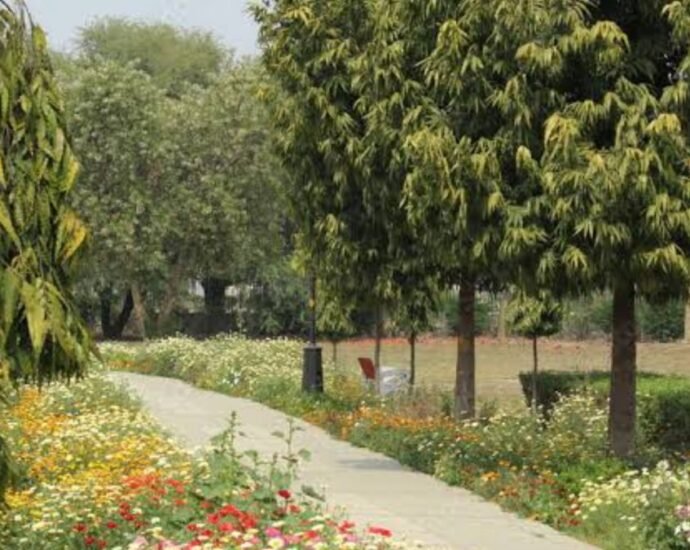 दिल्ली-के-जापानी-पार्क-में-पेड़-से-लटकी-मिली-नाबालिग-की-लाश,-रहस्य-बना-मौत-का-कारण