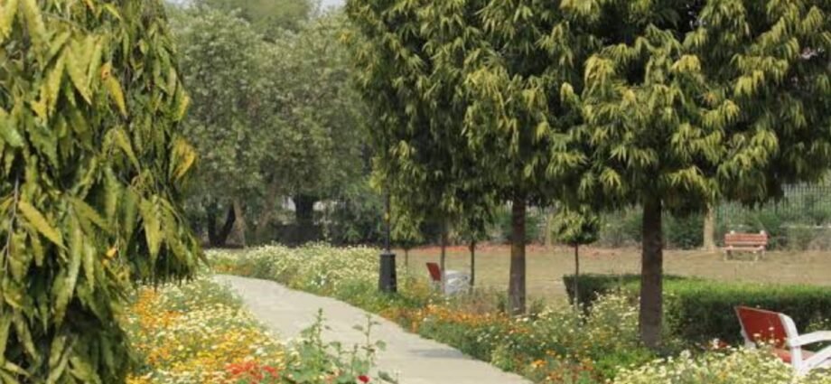 दिल्ली-के-जापानी-पार्क-में-पेड़-से-लटकी-मिली-नाबालिग-की-लाश,-रहस्य-बना-मौत-का-कारण